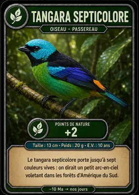 Carte Le tangara septicolore — set Oiseaux